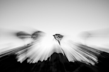 Zoom blur magical effect long exposure in Quiver Tree Forest.