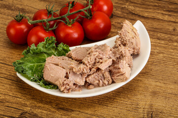 Canned tuna fillet in the bowl
