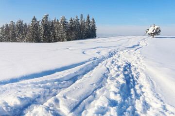 Fototapeta na wymiar Winter landscape with forest and fields covered with snow.