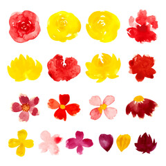 Beautiful Watercolor spring flowers set