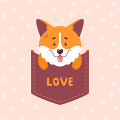 Corgi sitting inside the pocket - cute vector illustration. Welsh corgi puppy print for card or t-shirt design.