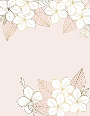 Luxury design Plumeria flowers for background, banners, posters, covers, greeting cards. Tropical flowers line art on a pink background.