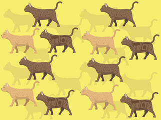 Cat Australian Mist Various Coat Seamless Wallpaper Background