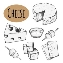 vector set of cheese. Hand-drawn ink drawing, cheese slices. Restaurant menu design.