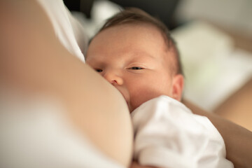 New born baby nursing from mother 