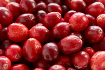 Red ripe cranberries food background with selective focus     