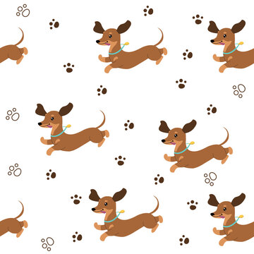Dachshund dogs seamless pattern. Vector cartoon illustration. T-shirt design
