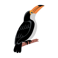 Toucan vector isolated on white. Toucan bird cartoon character. South America fauna © Pavel