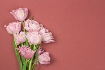 Fresh tulips, on fashion pastel background. Soft light color. Greeting card.
