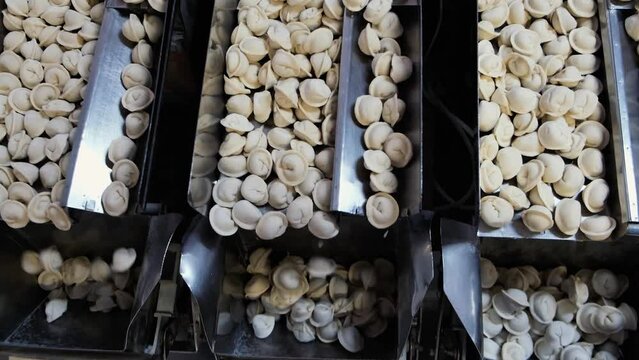 Dumpling factory making process modern industry. Pelmeni. Automatic process