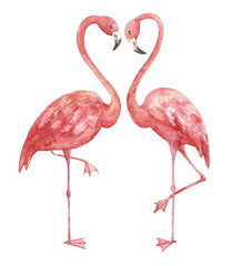 Watercolor illustration of pink flamingos in love.