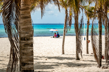 Fototapeta na wymiar Tropical landscape with coconut palm on Playacar beach at Caribbean sea in Playa del Carmen, Mexico