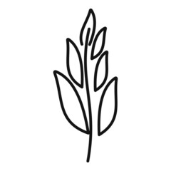 Sage plant icon outline vector. Herb leaf