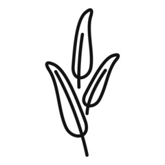 Sage smudge icon outline vector. Herb stick