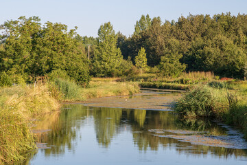 Fototapeta na wymiar Le Canal du Berry vers Selles-sur-Cher - Loir-et-Cher