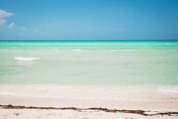 Sandy coast of the Gulf of Mexico near Rio Lagartos. Green grass in the foreground and azure water and horizon in the background, Yucatan, Las Coloradas