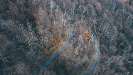 Aerial high angle view of narrow winding curvy mountain road among the trees in winter forest. Bird's eye view landscape.