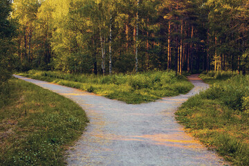 Divergence of directions. A wide path in the park is divided into two alleys leading in different...