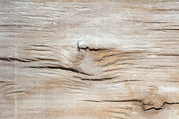 light background texture plywood painted white with cracks and knots