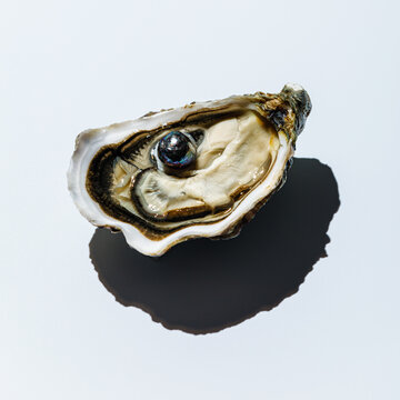 Open oyster shell with black pearl on gray background