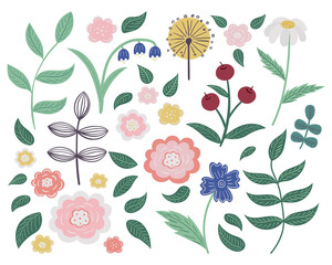 A set of flowers and plants in a flat style: dandelion, chamomile, leaves, berries. Hand drawing in cartoon style.