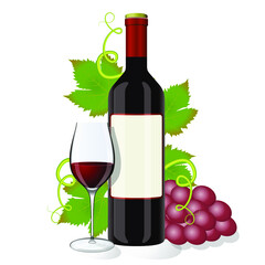 Vector illustration of a bottle of grapes and a glass of wine on a white background