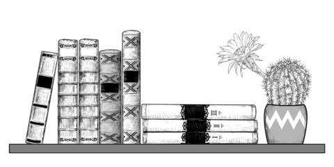 Books and a blossoming cactus on a bookshelf. Vector drawing in vintage style. Isolated objects on white background. A hand-drawn sketch of a bookshelf.