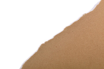 torn paper on white background