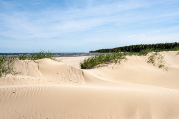 Dune sand by the sea
