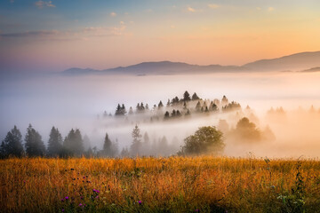 beautiful landscape with valleys, sun and fog in Pieniny mountains