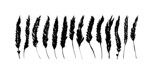 Black abstract lavender silhouette set. Hand drawn ink sketch, vector hand drawing wildflower. lavender flower, rough illustration collection. Brush painted plant stems, herbs, botanical clip arts.