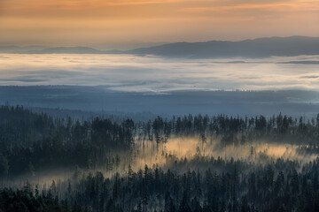 morning fog in the spruce forest at sunrise in the High Tatras near Bilikova chata