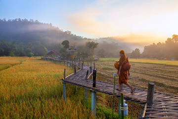 Fototapeta na wymiar Beautiful morning light, Boon Kho Ku So Bridge is located in Pam Bok Village.
