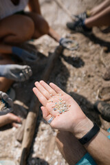 Voluntarios recogiendo pl&aacute;stico en la playa. Ecologismo en las playas. Microplasticos