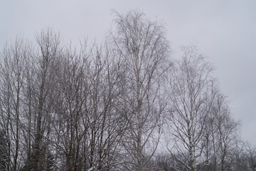 Церкви в Сергиевом Посаде