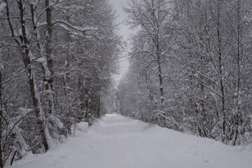 Зима в Подмосковье