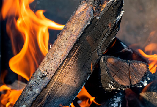 Close up photo of burned firewood with colorful flame behind it.