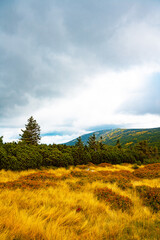 Fototapeta na wymiar Giant Mountains (Karkonosze) autumn landscape