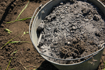 Full bucket of ash close-up, for fertilizing soil in garden in spring © irisff