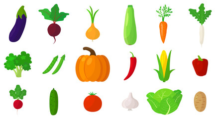 Set of fresh vegetables on white background. Vector eggplant, beets, onions, zucchini, carrots, white radishes and other vegetables in cartoon style.