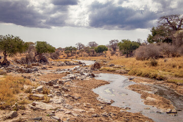 landscape of the river tanzania africa