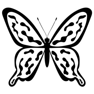 butterfly silhouette, on white background, vector