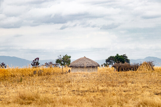 landscape with african hut tanzania