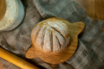 snail on a wooden background
