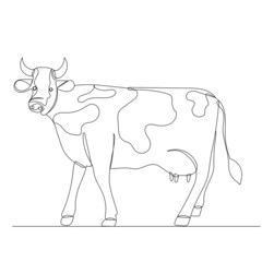 cow drawing in one continuous line ,vector, isolated