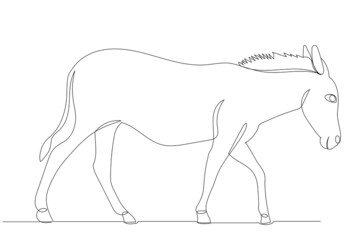 donkey drawing in one continuous line, vector, isolated