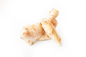 seashell isolated on white