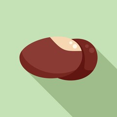 Japan chestnut icon flat vector. Tree fruit