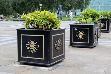 Planters in Manchester city centre, England