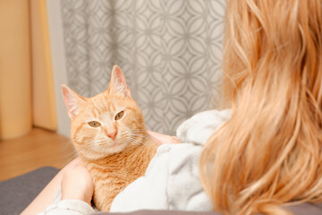 A woman after a bath in a warm bathrobe sits on a sofa with a cat. Red cat in the hands of a girl. Beautiful ginger tabby cat. Animals and lifestyle concept.